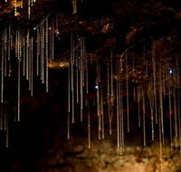 Tamborine Mountain Glow Worm Caves - Palm Beach Accommodation