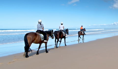 Worimi National Park - Palm Beach Accommodation 1