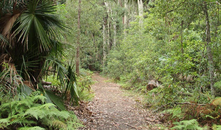 East Lynne NSW Palm Beach Accommodation