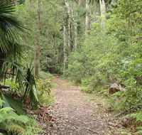 Lake walking track - Palm Beach Accommodation
