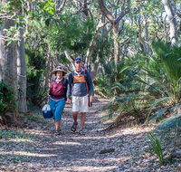 Myrtle Beach walking track - Palm Beach Accommodation