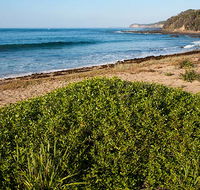 Richmond Beach - Palm Beach Accommodation