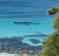 Jervis Bay Marine Park - Palm Beach Accommodation
