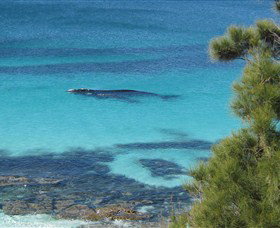 Jervis Bay Marine Park - Palm Beach Accommodation 0