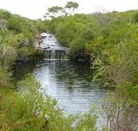 Booderee National Park Green Patch and Telegraph Creek Walking Tracks - Palm Beach Accommodation