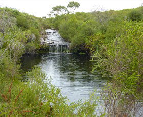 Booderee National Park: Green Patch And Telegraph Creek Walking Tracks - Palm Beach Accommodation 0