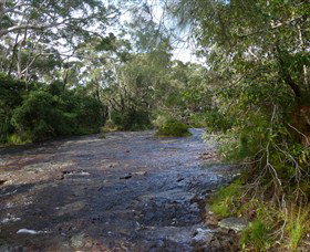 Booderee National Park: Green Patch And Telegraph Creek Walking Tracks - Palm Beach Accommodation 2