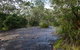 Booderee National Park: Green Patch And Telegraph Creek Walking Tracks - thumb 1
