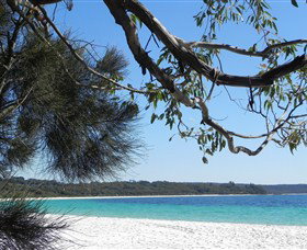 Booderee National Park: Green Patch And Telegraph Creek Walking Tracks - Palm Beach Accommodation 6