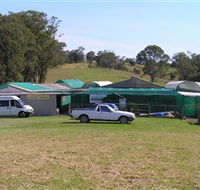 Tinonee Orchid Nursery - Palm Beach Accommodation