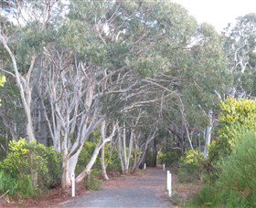 Booderee National Park: Munyunga Waraga Dhugan Walking Trail - Palm Beach Accommodation 3