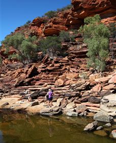 Inland Gorges - Palm Beach Accommodation 2