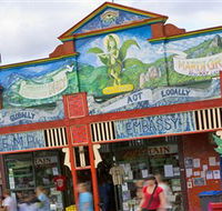 HEMP Embassy - Palm Beach Accommodation