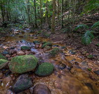 Starrs Creek picnic area - Palm Beach Accommodation