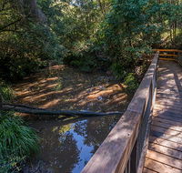Ms Kellys walking track - Palm Beach Accommodation