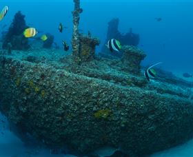 Curtain Artificial Reef Dive Site - Palm Beach Accommodation 1