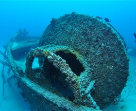 Curtain Artificial Reef Dive Site - Palm Beach Accommodation 3