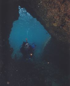 Tangalooma Wrecks Dive Site - Palm Beach Accommodation 1