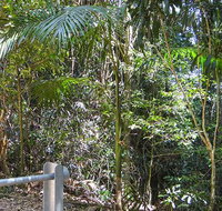 Goorgana walking track - Palm Beach Accommodation