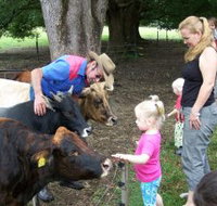 Crystal Creek Miniatures - Palm Beach Accommodation