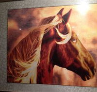 Silk Art Gallery - Palm Beach Accommodation