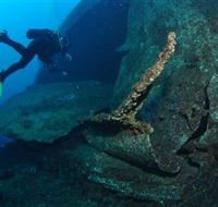 Cementco Dive Site - Palm Beach Accommodation