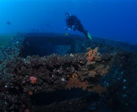Cementco Dive Site - Palm Beach Accommodation 3