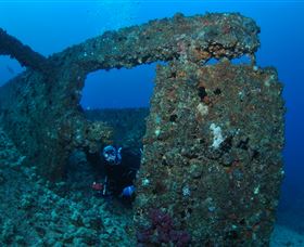 Cementco Dive Site - Palm Beach Accommodation 2