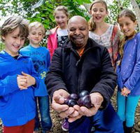 Wigay Aboriginal Culture Park - Palm Beach Accommodation