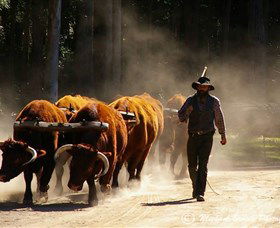 Timbertown Heritage Theme Park - Palm Beach Accommodation 1