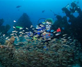 Aarhus Dive Site - Palm Beach Accommodation 0