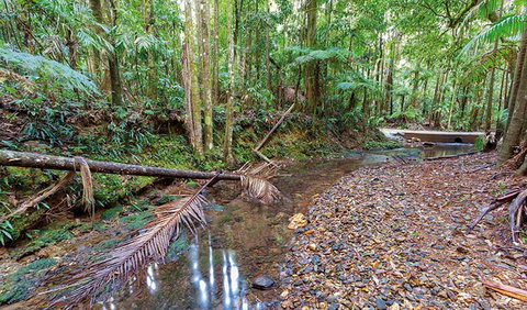 Ulidarra National Park - Palm Beach Accommodation 0
