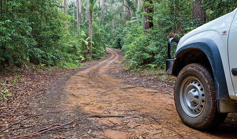 Ulidarra National Park - Palm Beach Accommodation 2