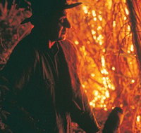 The Shed Gallery - Palm Beach Accommodation