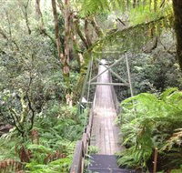 Bemm River Scenic Reserve - Palm Beach Accommodation