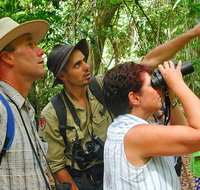 Falls walking track - Palm Beach Accommodation