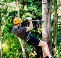 TreeTop Challenge Currumbin - Palm Beach Accommodation