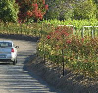 Cassegrain Wines - Palm Beach Accommodation