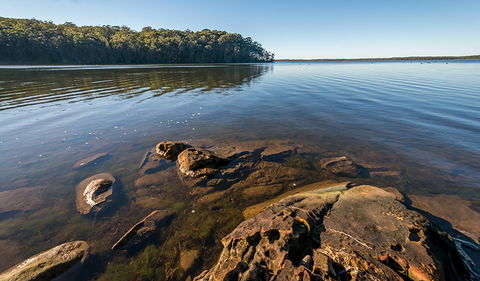 Queens Lake Nature Reserve - Palm Beach Accommodation 0