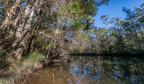 Queens Lake Nature Reserve - Palm Beach Accommodation 3