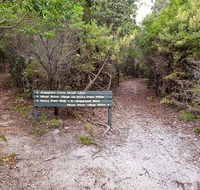 Angophora grove walking track - Palm Beach Accommodation