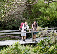 Wilsons Headland walking track - Palm Beach Accommodation