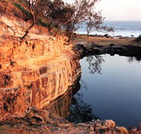 Angourie Blue Pool - Palm Beach Accommodation