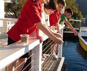 Dunbogan Boatshed - Palm Beach Accommodation 3