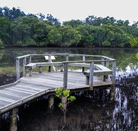 Walk on Water walking track - Palm Beach Accommodation