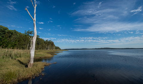 Lake Innes Nature Reserve - Palm Beach Accommodation 0