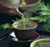 World Par-TEA - Palm Beach Accommodation
