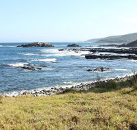 Mimosa Rocks National Park - Palm Beach Accommodation