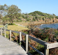 Mimosa Rocks walking track - Palm Beach Accommodation