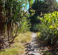 North Head walking track - Palm Beach Accommodation